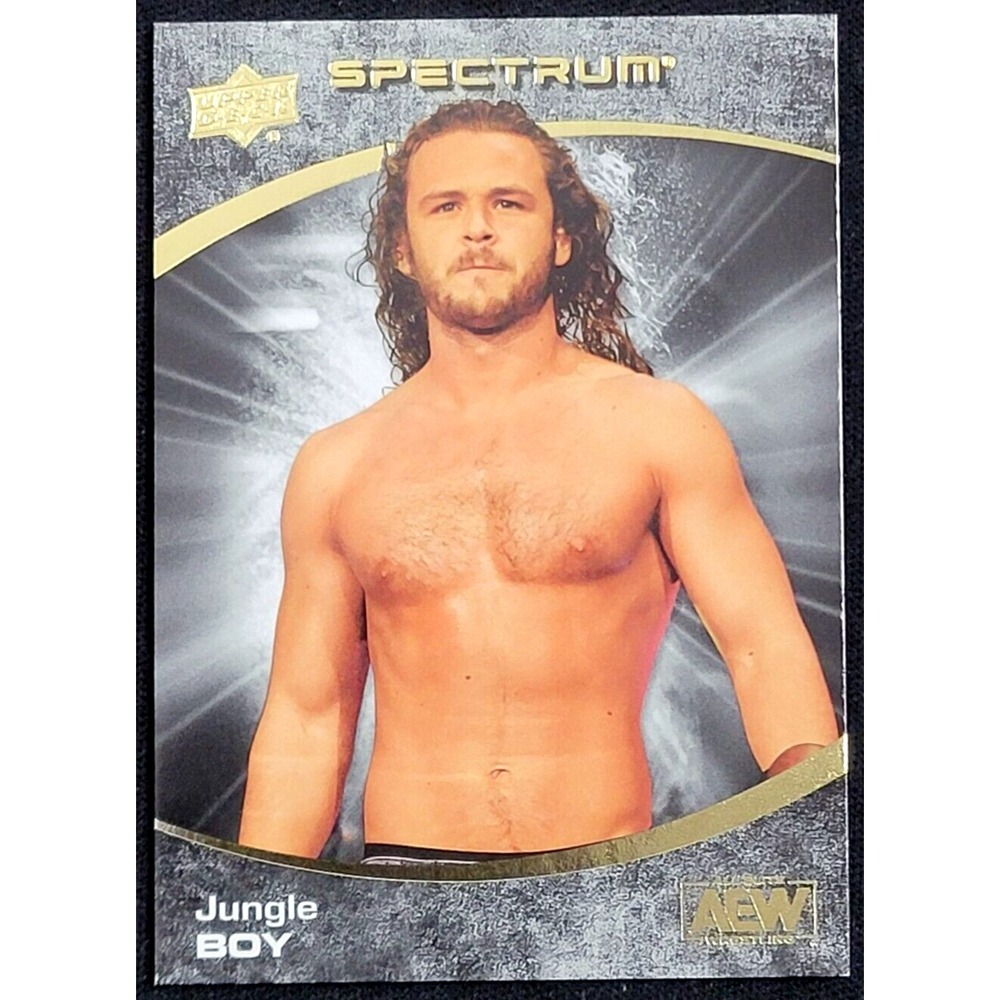 2021 UPPER DECK AEW SPECTRUM DARK‎  JUNGLE BOY  #D 10/99